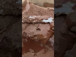 Red clay Reclaim ❤ #slatechalk #gymchalkasmr #gymchalkcrushing #gymchalkcrush #relaxingcrunch #asmr