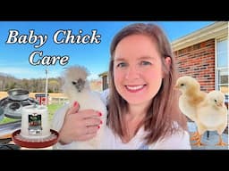 Top 5 Things You Need For Baby Chicks & Everything You Need To Know!