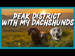 Exploring the Peak District with My Two Dachshunds | Bakewell, Hidden Waterfalls & a Mam Tor Mishap