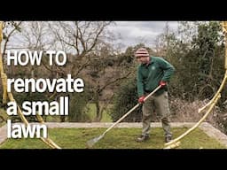 How to renovate a patchy grass lawn | Head gardener's tips