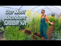 Saying GOODBYE to Salad after our MOST ABUNDANT SEASON Yet | Summer Polytunnel Prep