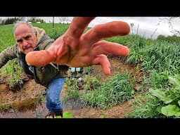 Peace and Farming Rainy Days