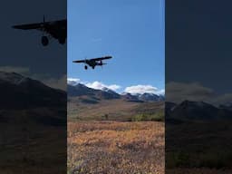 Amazon deliveries look a little different in Alaska..