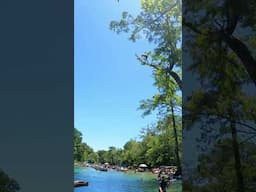 Free falling from the tree #cypressspring #floridaoutdoors #swimming #naturalspring #stunt #diving
