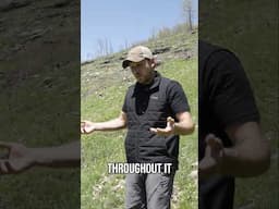 Fawn Survival | Prescribed Fire for Deer Habitat Success!! #shorts