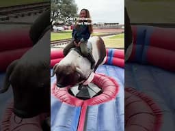 Do this to release #tension #stressrelief Have you ridden a #mechanical #horse yet? #texas  #usa