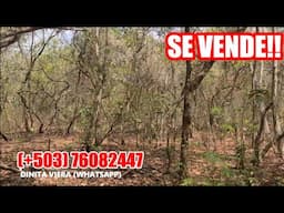 20 MANZANAS EN SUCHITOTO $10,500 POR MANZANA