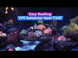 Easy Reefing - LPS Saltwater Reef Tank