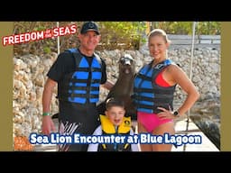 Blue Lagoon Island Sea Lion Encounter & Beach Day in Nassau / Day 2 on Freedom of the Seas (2025)