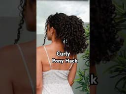The BEST Curly Ponytail you’ll ever see #curlyhairstyle #shorts #curlyhair