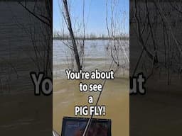 That jump was impressive!#bassfishing #kayakfishing #fishing