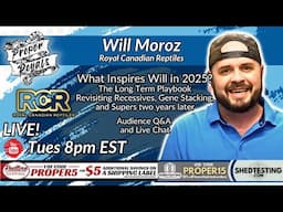 Will Moroz on Market Trends, Project Strategy & What’s Next in Ball Python Breeding