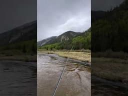 Best shoes for Fly Fishing #flyfishing #colorado