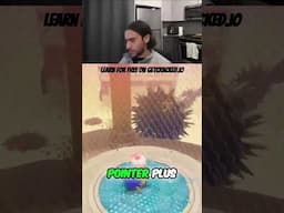 rust devs have better fundementals?