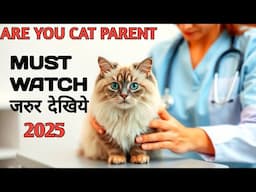 New Persian Kitten Home Setup & Training Guide in Hindi | 15+ Years Expert Tips vet approved 2025
