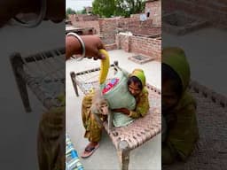 Babu new amazing funny video #monkey #monkeychallenge #monkeyclip #funny #cute