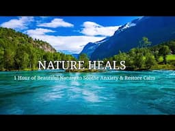 Relax Your Mind & Soul with Nature’s Beauty | Natural Relaxation for Sleep, Study, or Healing
