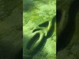 "Archaeologist Found an Incredible Site 1,175 Feet Long – You Won’t Believe What They Discovered!"