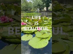 Why Would We Build AI That Can End All Life? | #shorts #ai #nature #plants