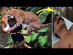 Leopard vs. Human | Shocking Leopard Attack On Human