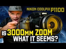 How Good Is the 3000mm Zoom on the Nikon CoolPix P1100?
