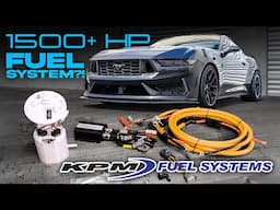 1500+HP Fuel System with NO TUNING?! - KPM Fuel System for 2024+ Mustang GT/Dark Horse
