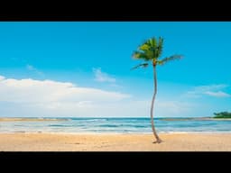 Gentle Bossa Nova Jazz Music at Morning Beach 🌴 Jazz Background Music for Relaxation and Comfort