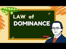 Law of Dominance I SHORT EXPLANATION