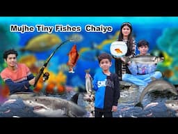 Mujhe Tiny Fishes  Chaiye   |  Fishes Ke Liye House Bana Liya 🐬 | MoonVines