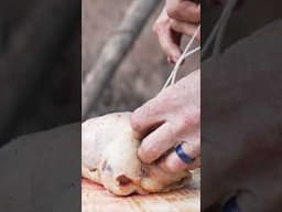 @clayhayeshunter The Master of Turkey Hunting Bushcraft. #bushcraft #asmr  #hunting
