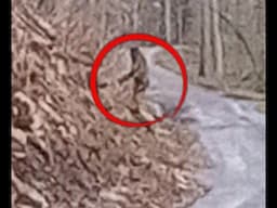 Bigfoot Group Observed Climbing Mountain near Dworshak