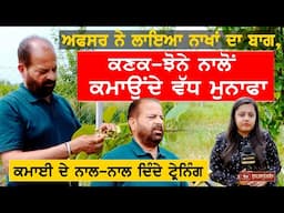 ਅਫਸਰ ਨੇ ਲਾਇਆ ਨਾਖਾਂ ਦਾ ਬਾਗ; ਕਣਕ-ਝੋਨੇ ਨਾਲੋਂ ਵੱਧ ਮੁਨਾਫਾ | Dr Bhajan Singh