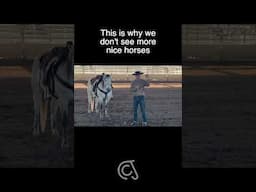 This Is Why We Don’t See More Nice Horses #horse #horselife #horserider #horsemanship #fyp