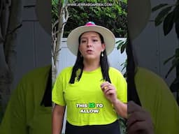 How To Fertilize Avocado Trees