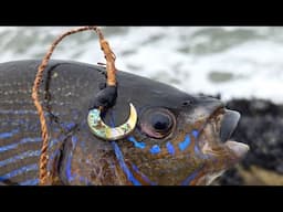 Catching Fish with SHELLFISH HOOKS and Handmade Rope