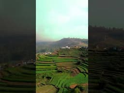 📍Kookal - Kodaikanal...