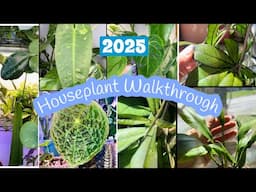 Spring Houseplant Walkthrough Tour 🪴!!! One Hour of plant updates 🫶🏼🌱
