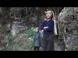 Organic village life || Coming home from harvesting rice