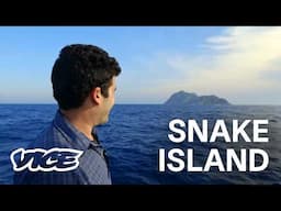 Snake Island (Full Documentary)