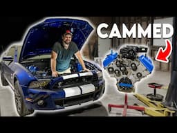 My Whipple Supercharged GT500 is ALIVE – 1300HP El Choppo Jr.