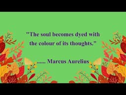 Marcus Aurelius Quotes || Best Quotes On Stoicism | Philosophy
