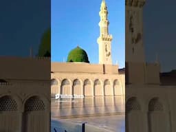Roza e Rasool ❤️❤️❤️💐💐💐