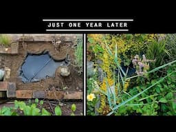 I built a Wildlife Pond - A year later, it's thriving!
