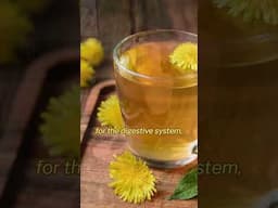 When Should You Harvest Your Herbs? #dandelions