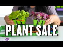 Seedling Sale Prep: Soil, Laughter & Just a Few Panic Moments