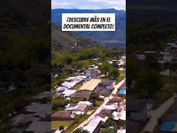 Documental De Café Colombiano: Café Especial en Pedregal ☕️ #shorts #cafe #colombia