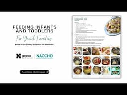 Feeding Infants & Toddlers in Middle Eastern Families (Kurdish Families) – Recipe - Chicken and Rice