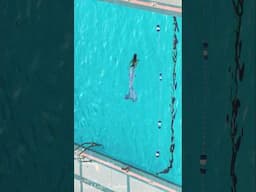 Mysterious mermaids in pools (and a merman too) 🧜🏻‍♀️🧜🏾‍♂️
