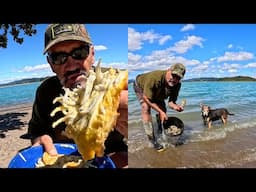 Raw Wild Mud Oysters & Whitebait in Crazy Wind