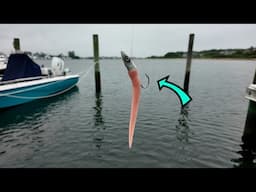 I'M BACK - The BEST Montauk CATCH, CLEAN, & COOK?!?